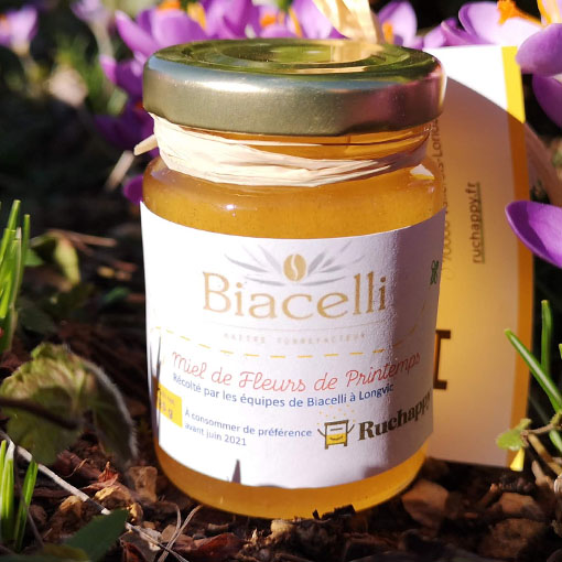 miel des ruches biacelli