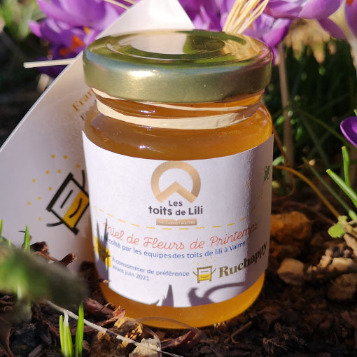 miel des ruches toits de lili