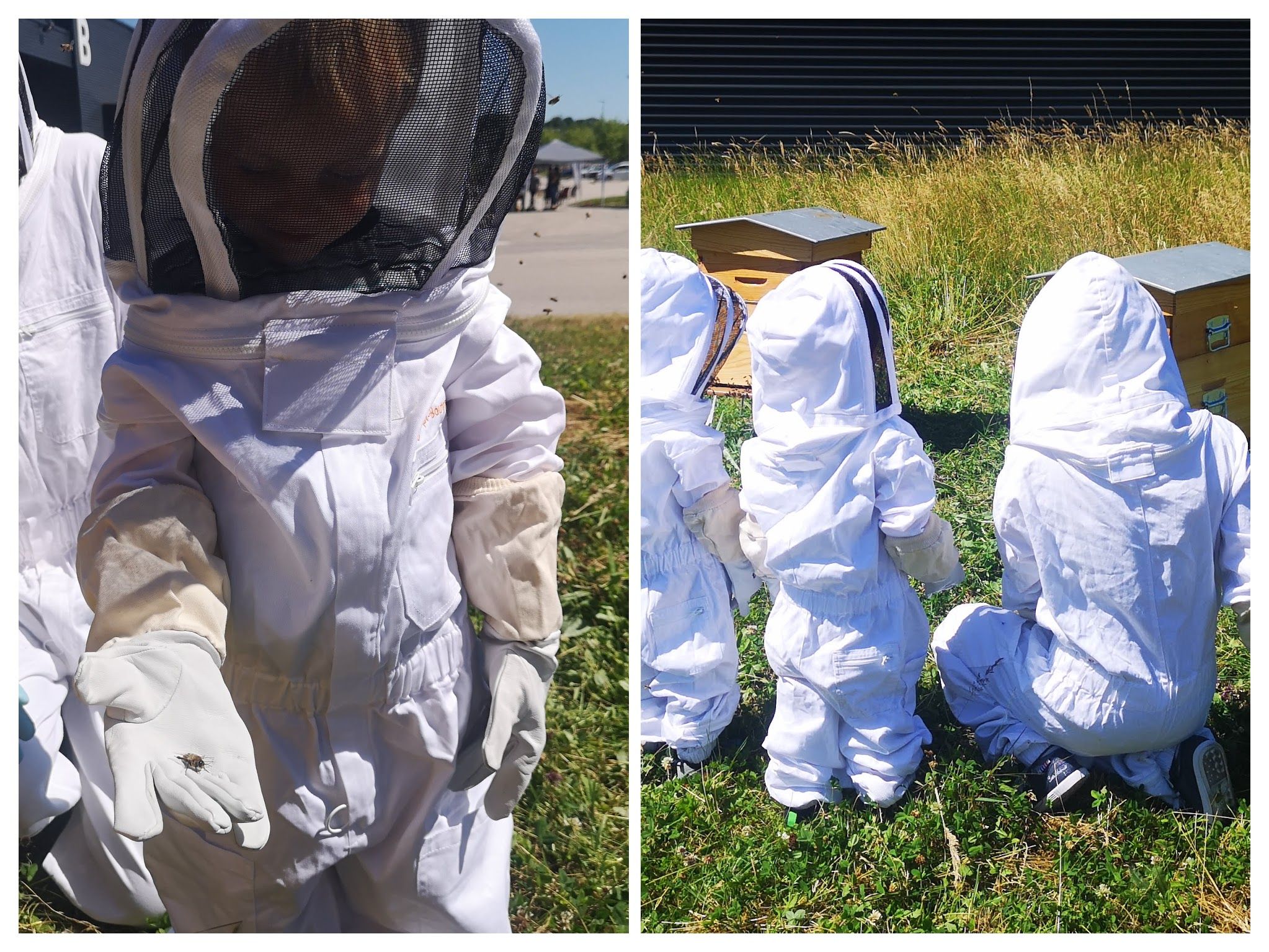 enfants abeilles