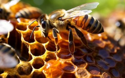 Saviez-vous que les abeilles 🐝 sont de véritables ingénieures👩‍🎓de la nature🌼?