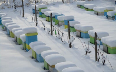 On parle de réchauffement 🥵 climatique alors pourquoi fait-il si froid 🥶 ?